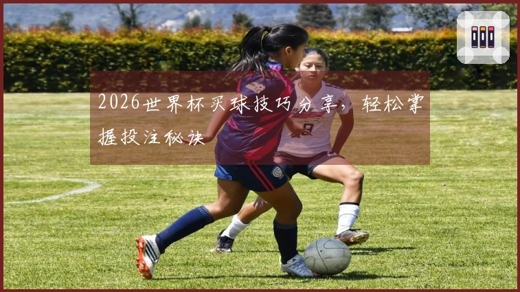 2026世界杯买球技巧分享,轻松掌握投注秘诀