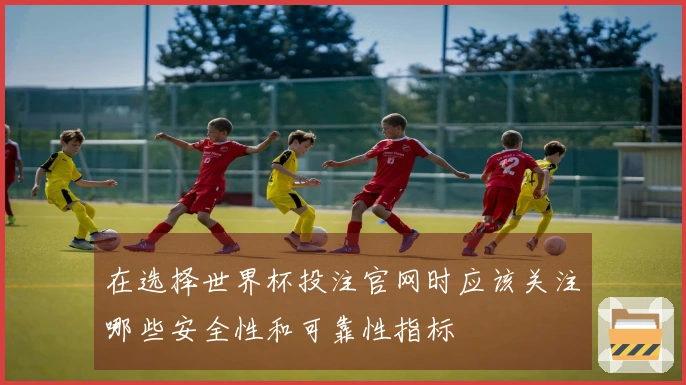 在选择世界杯投注官网时应该关注哪些安全性和可靠性指标